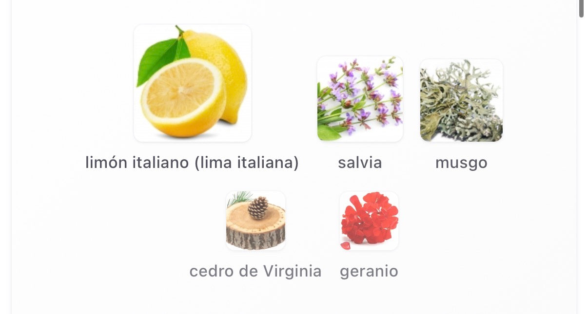 Goldfield & Banks Australia - Pacific Rock Moss