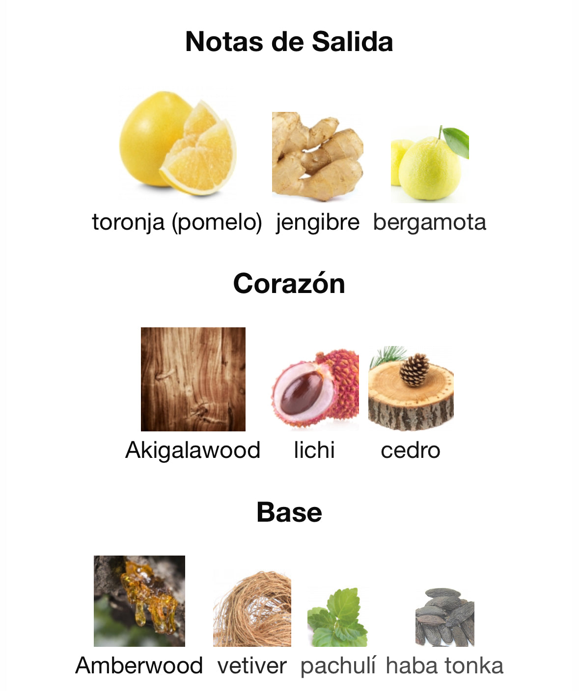 Ex Nihilo - The Hedonist Extrait de Parfum