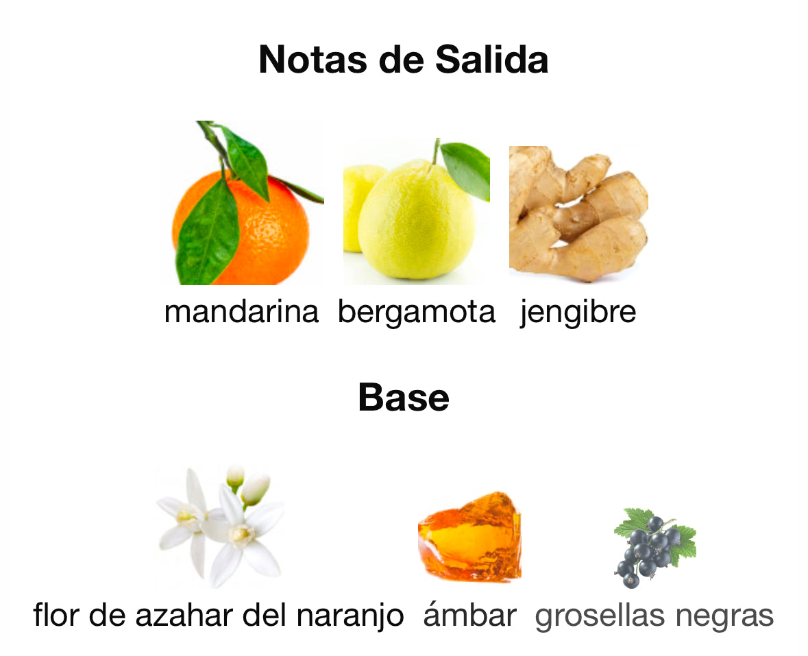 Zara - Sunrise on the Red Sand Dunes Intense