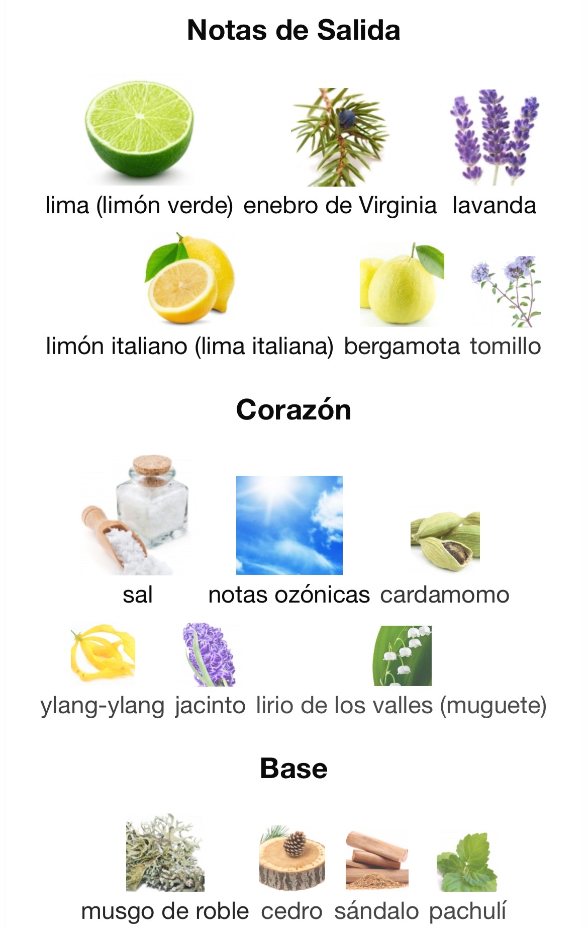 Tiziana Terenzi - Foconero