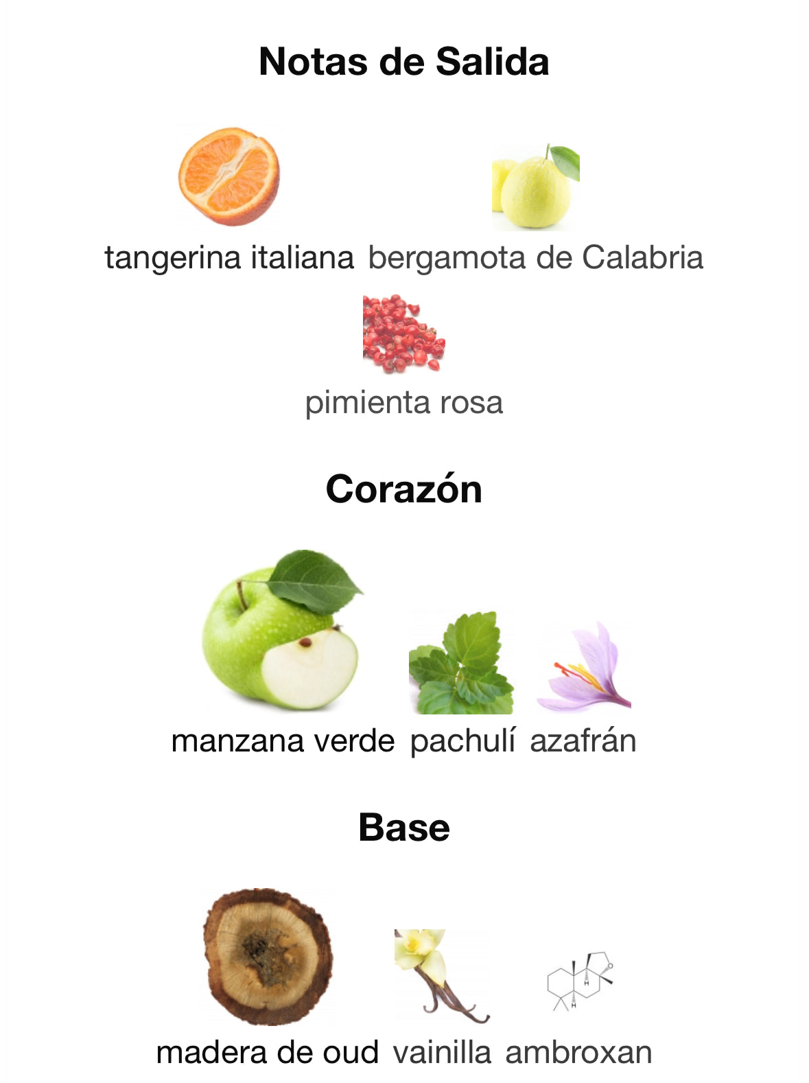 Brioni - EDP Intense