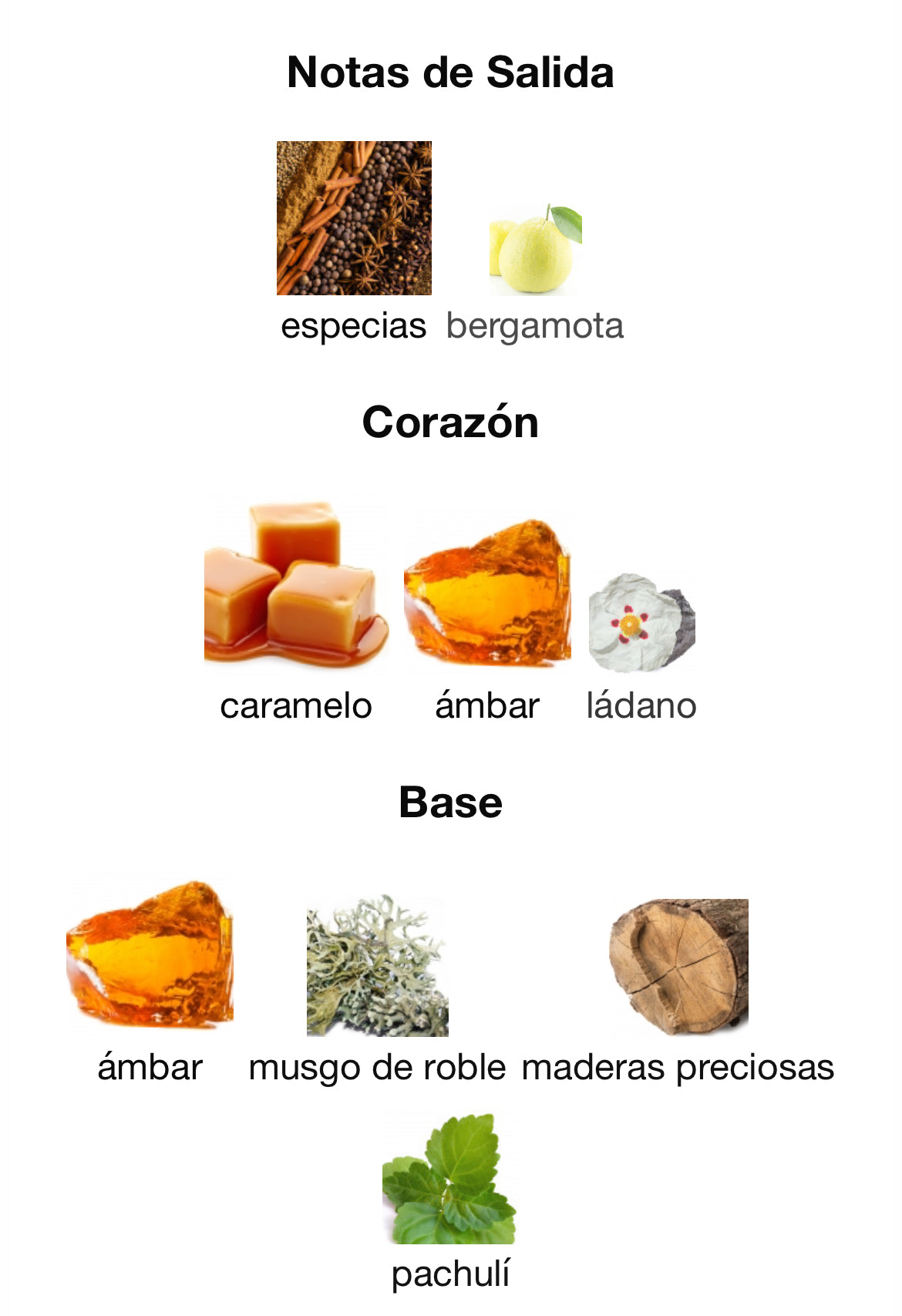 Mancera - Silver Blue