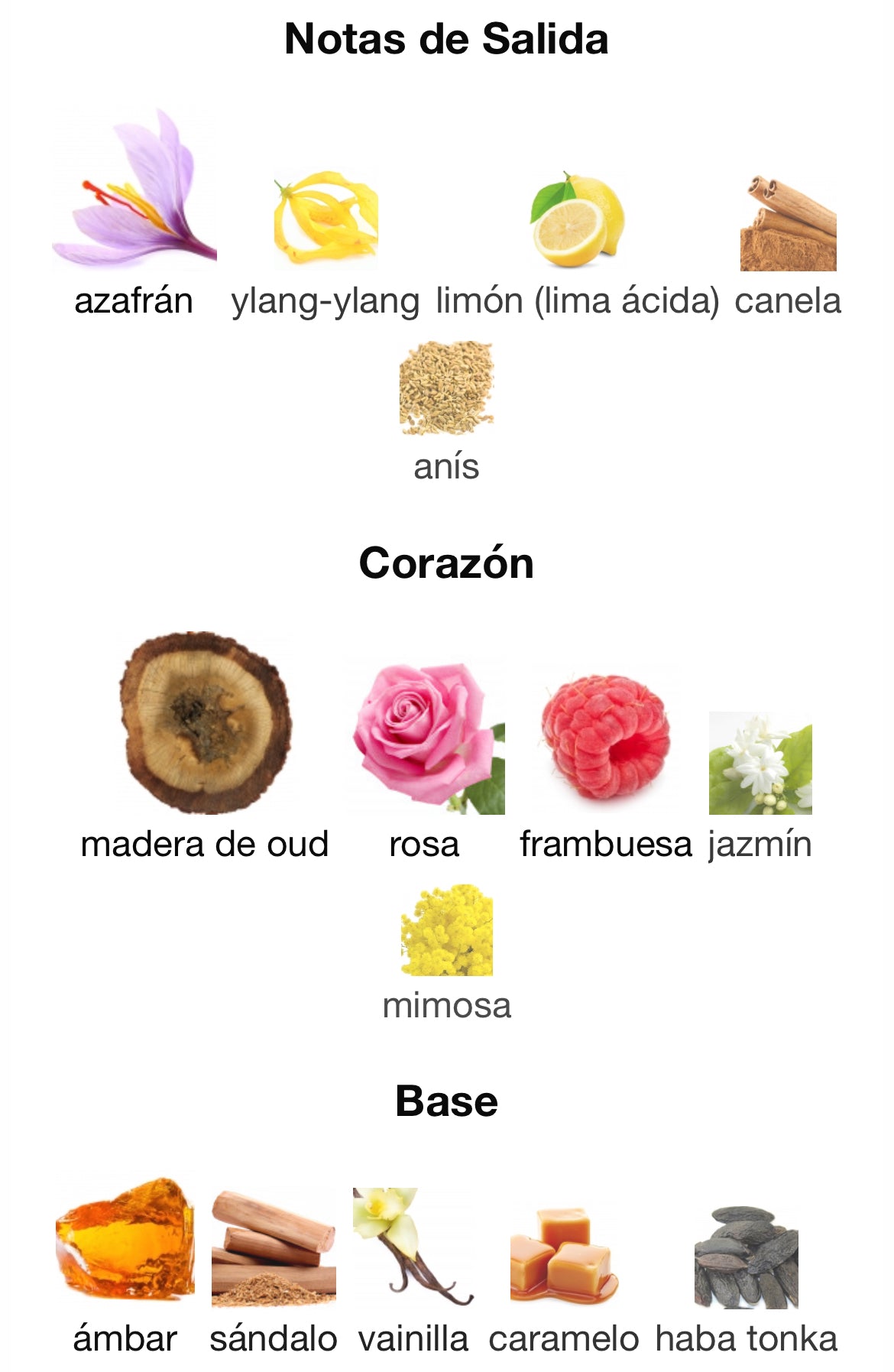 Ramon Monegal - Faïsa