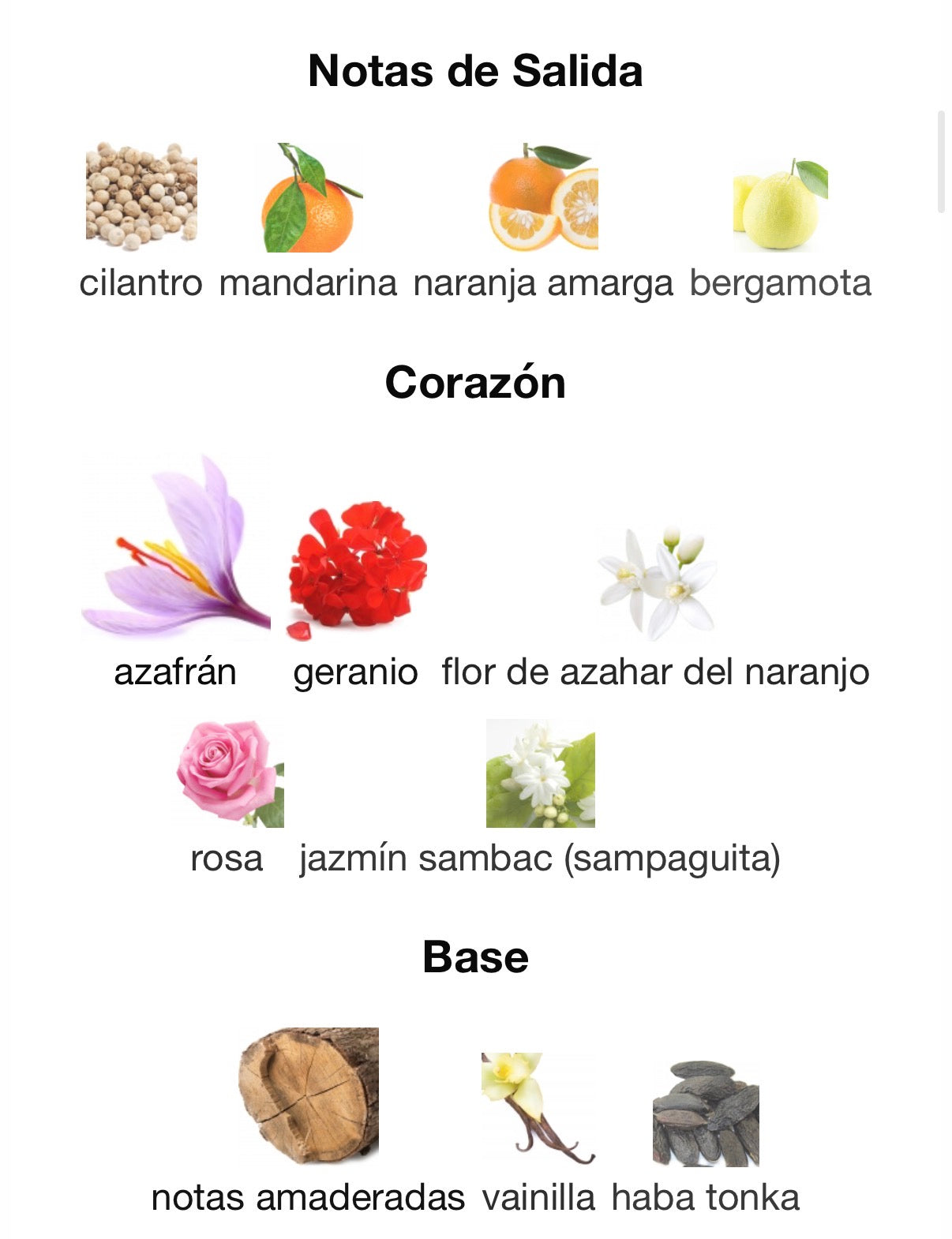 Acqua Di Parma - Zafferano