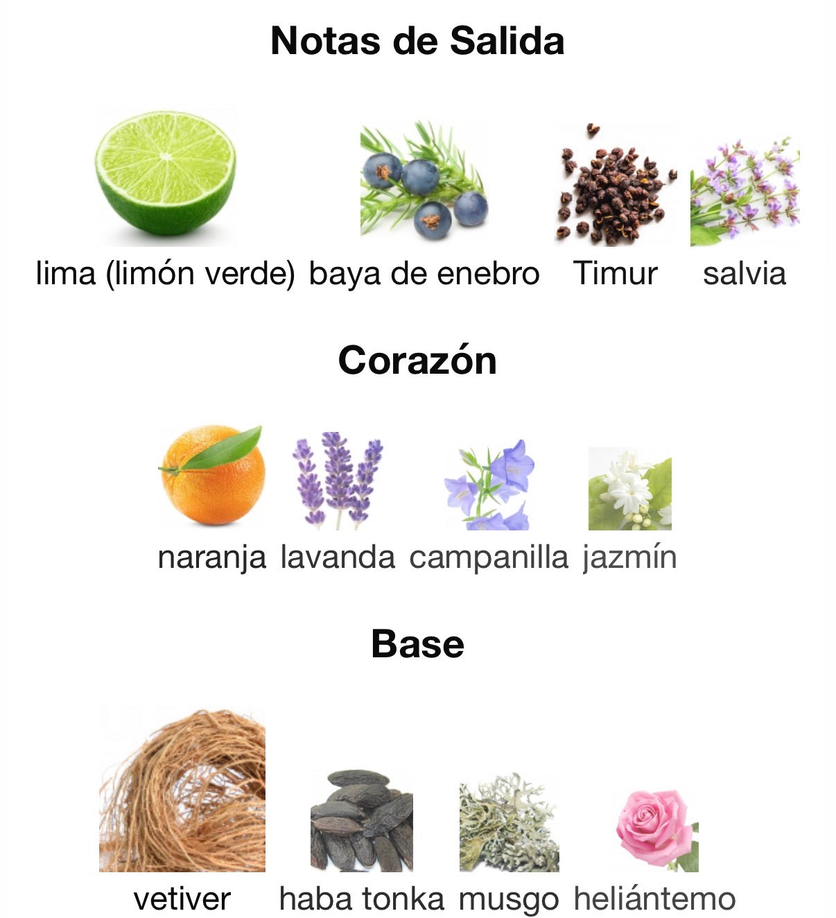 Ormonde Jayne - Vetiveria