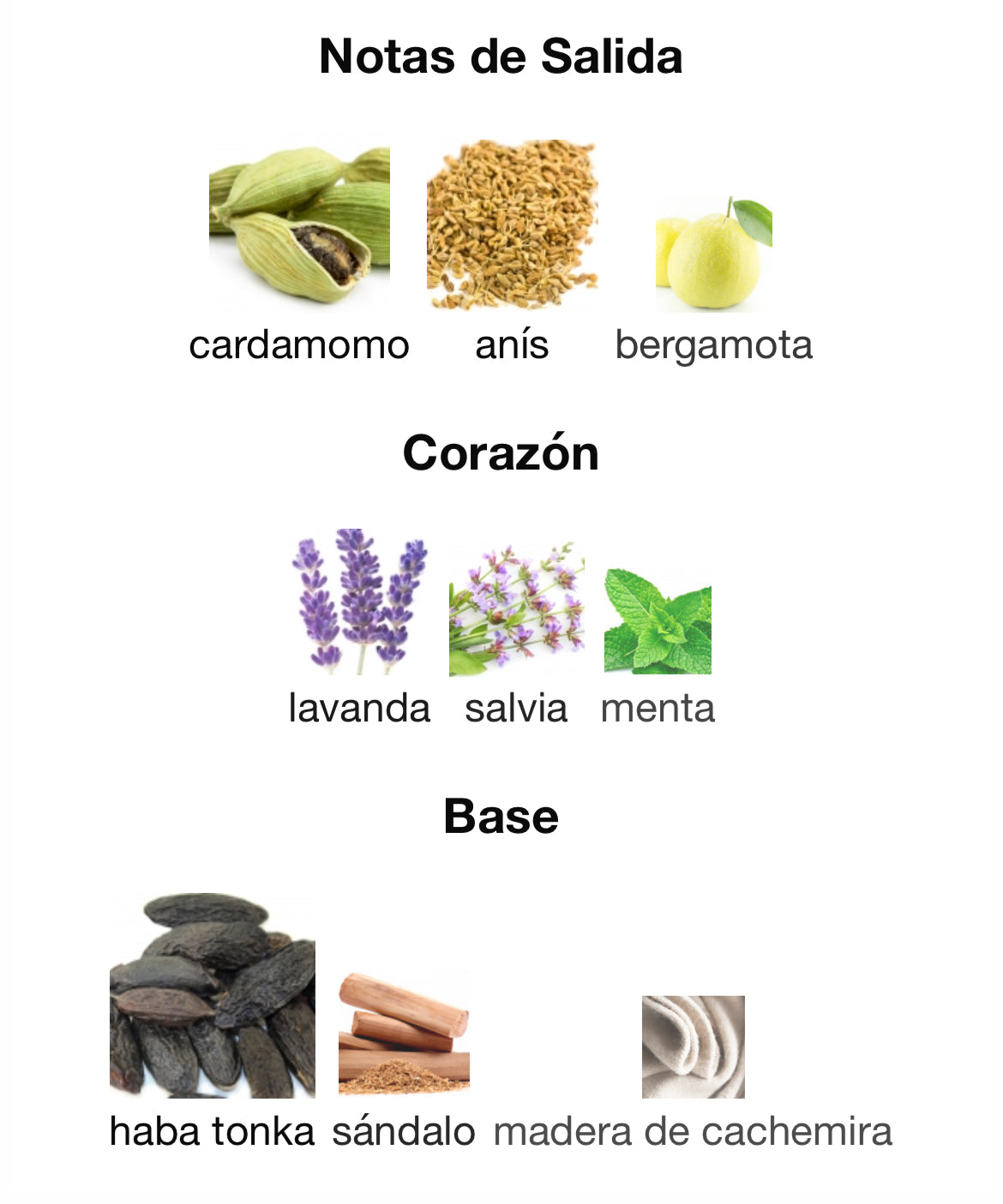 El Ganso - Friday Edition