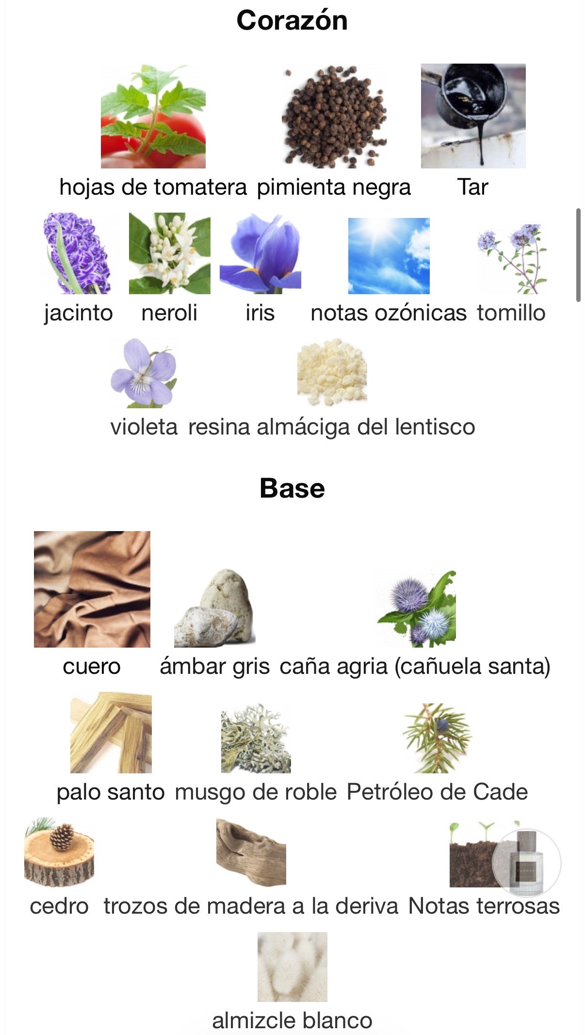 Comporta Perfumes - Dapper