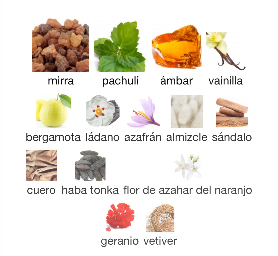 Prada - Amber Pour Homme Intense