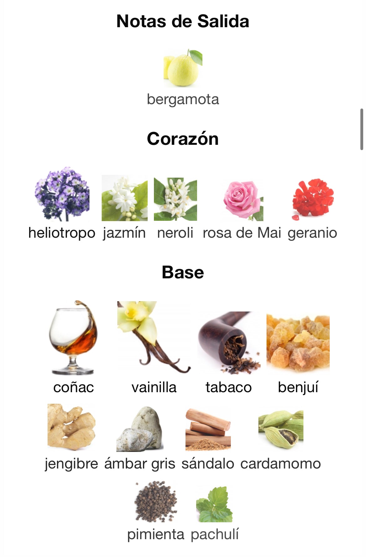 Roja Dove - Enigma Cologne