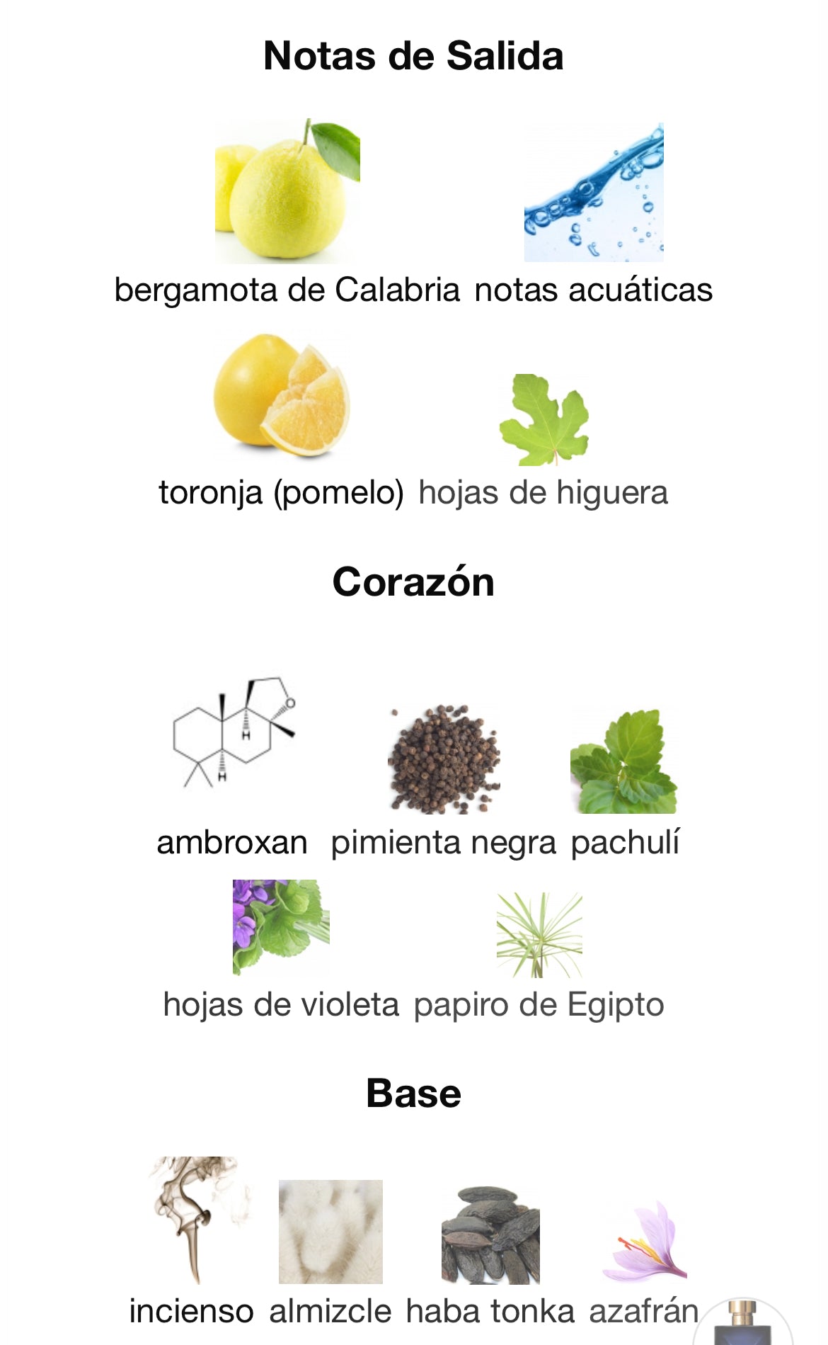 Versace - Dylan Blue