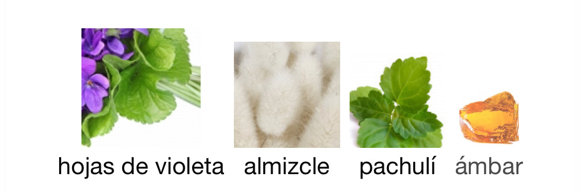 Narciso Rodriguez - for Him