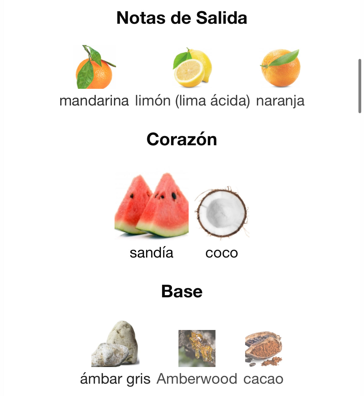Room 1015 - Wavechild
