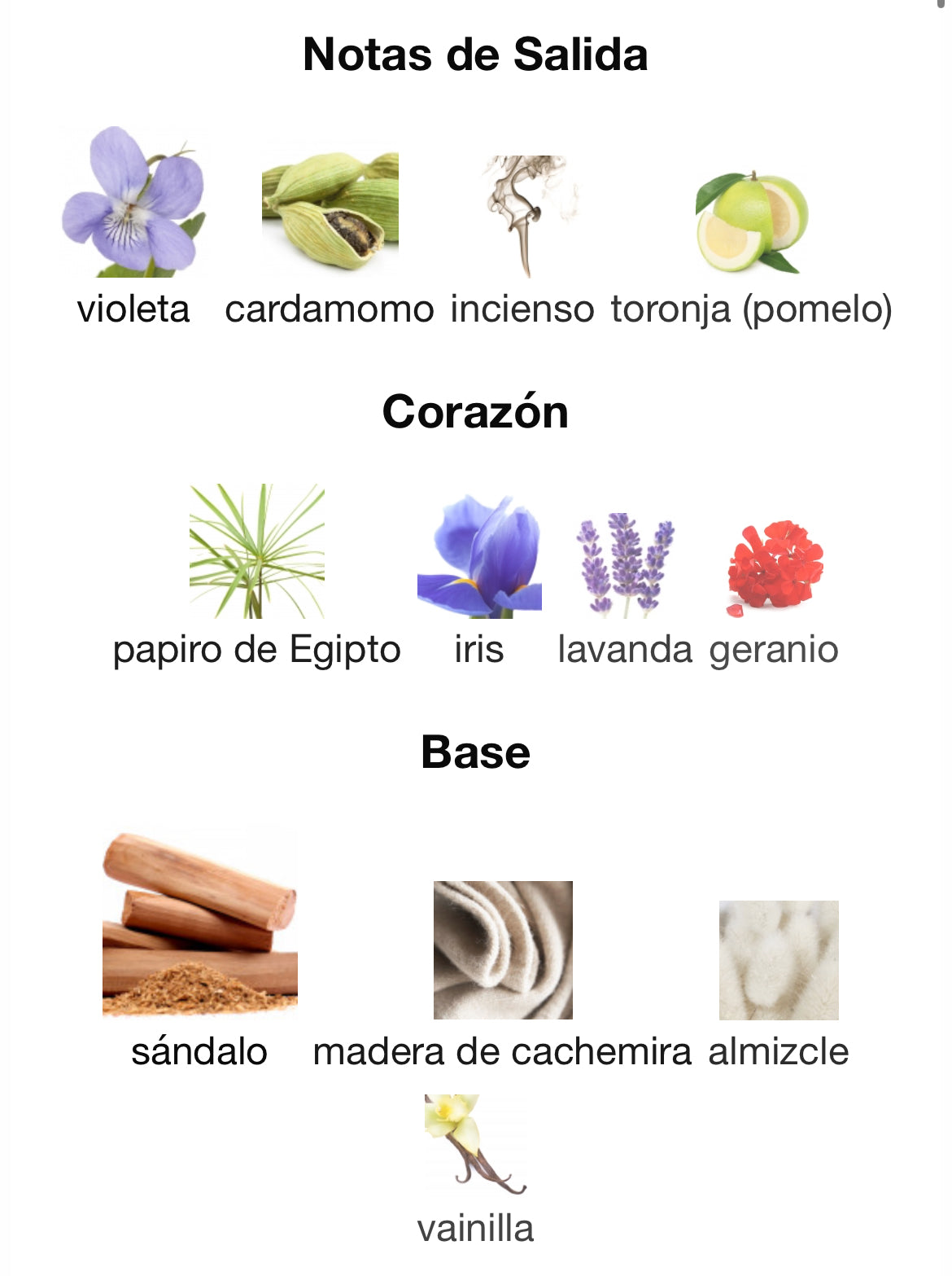 El Ganso - Bravo Monsieur