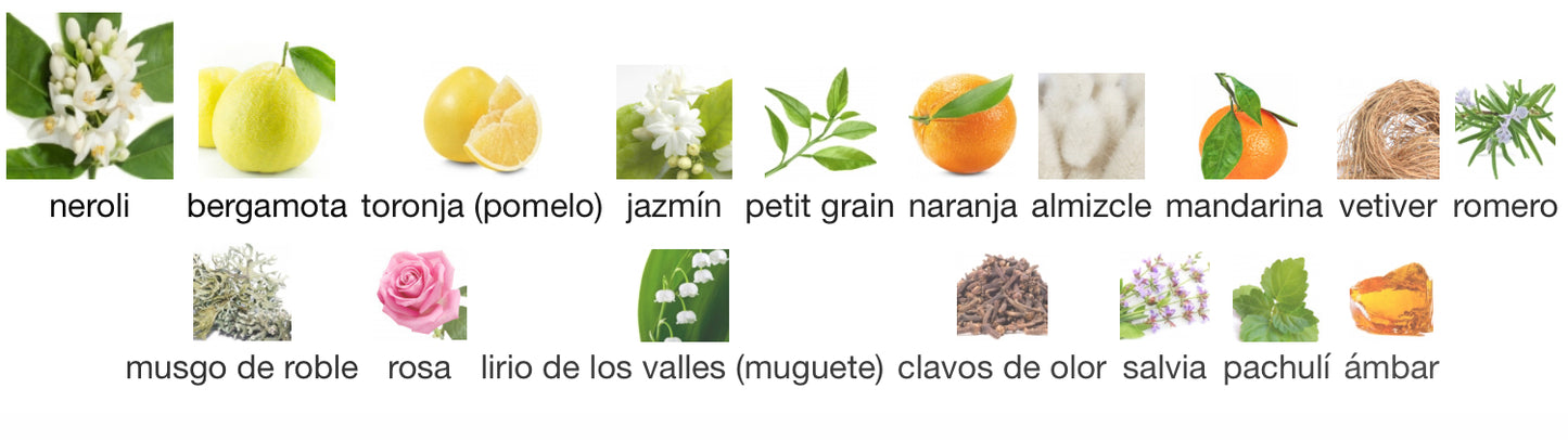 Acqua Di Parma - Colonia Essenza