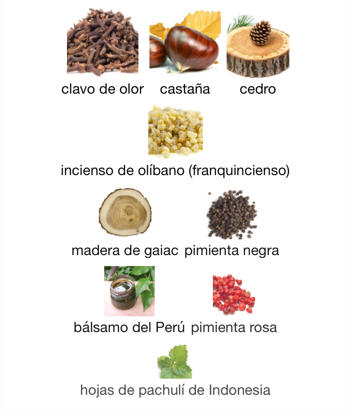 Scents Of Wood - Praline in Maple