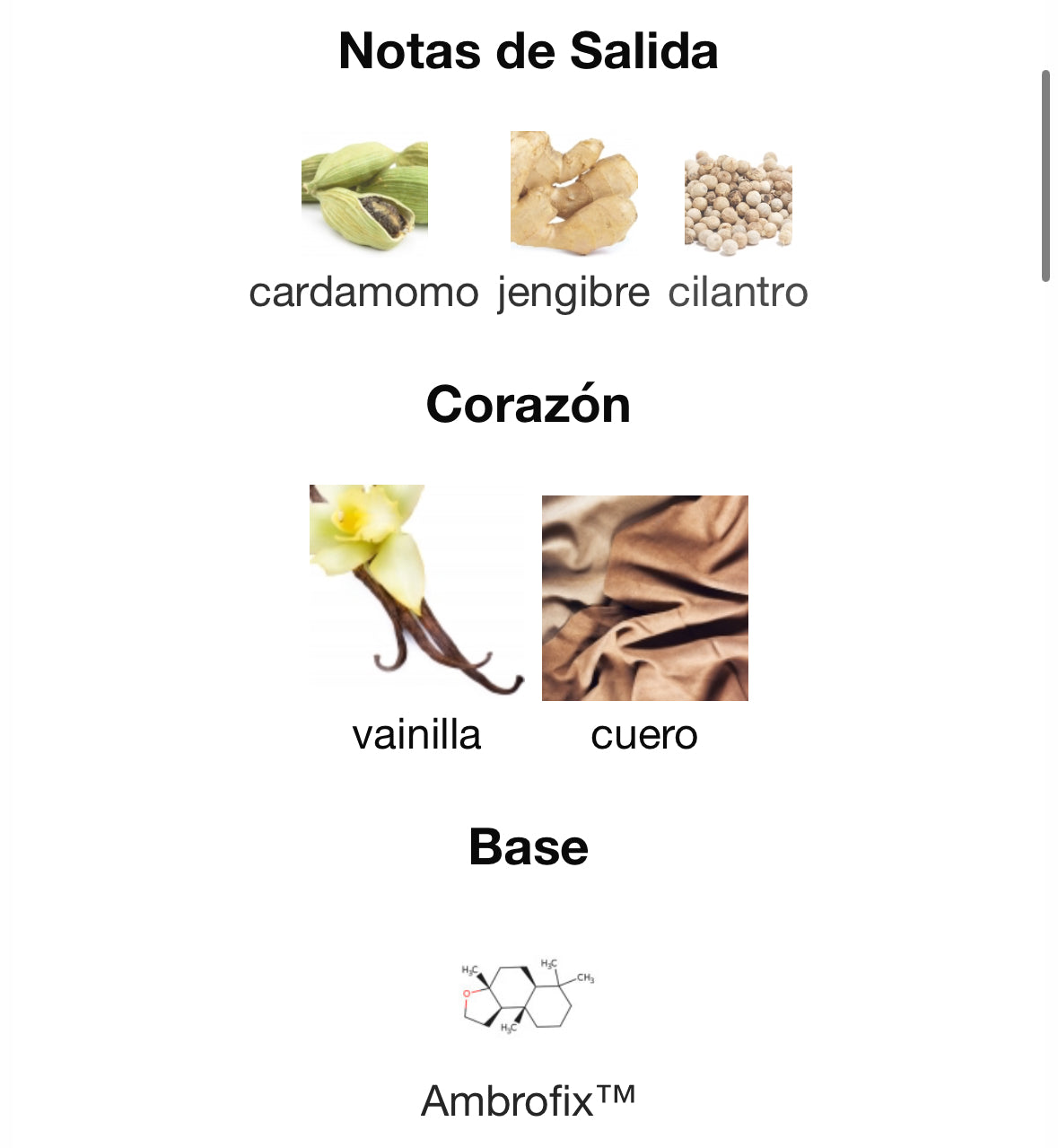 Tom Ford - Eau D’Ombré Leather