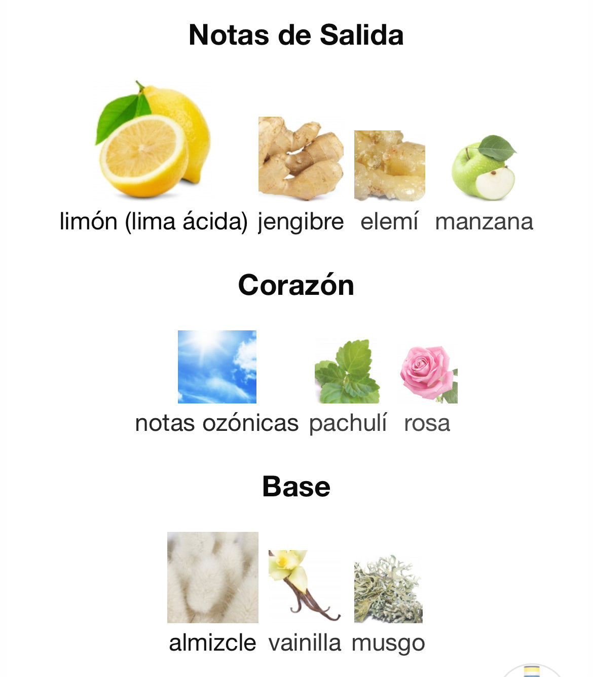 El Ganso - Limoncello