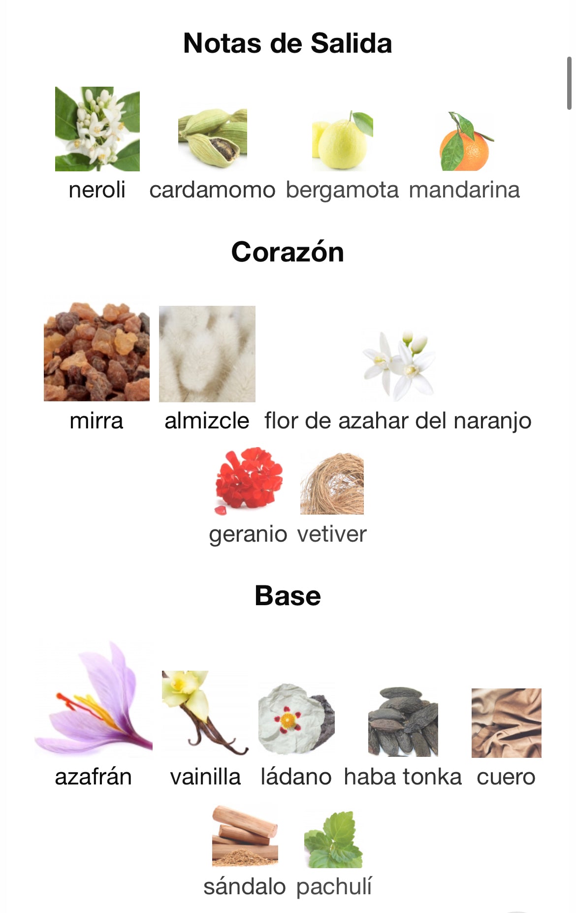 Prada - Amber Pour Homme