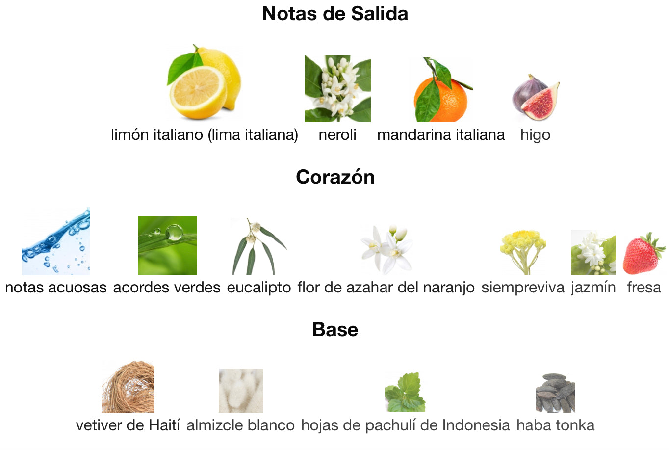 BDK - Full Bottled - Citrus Rivera