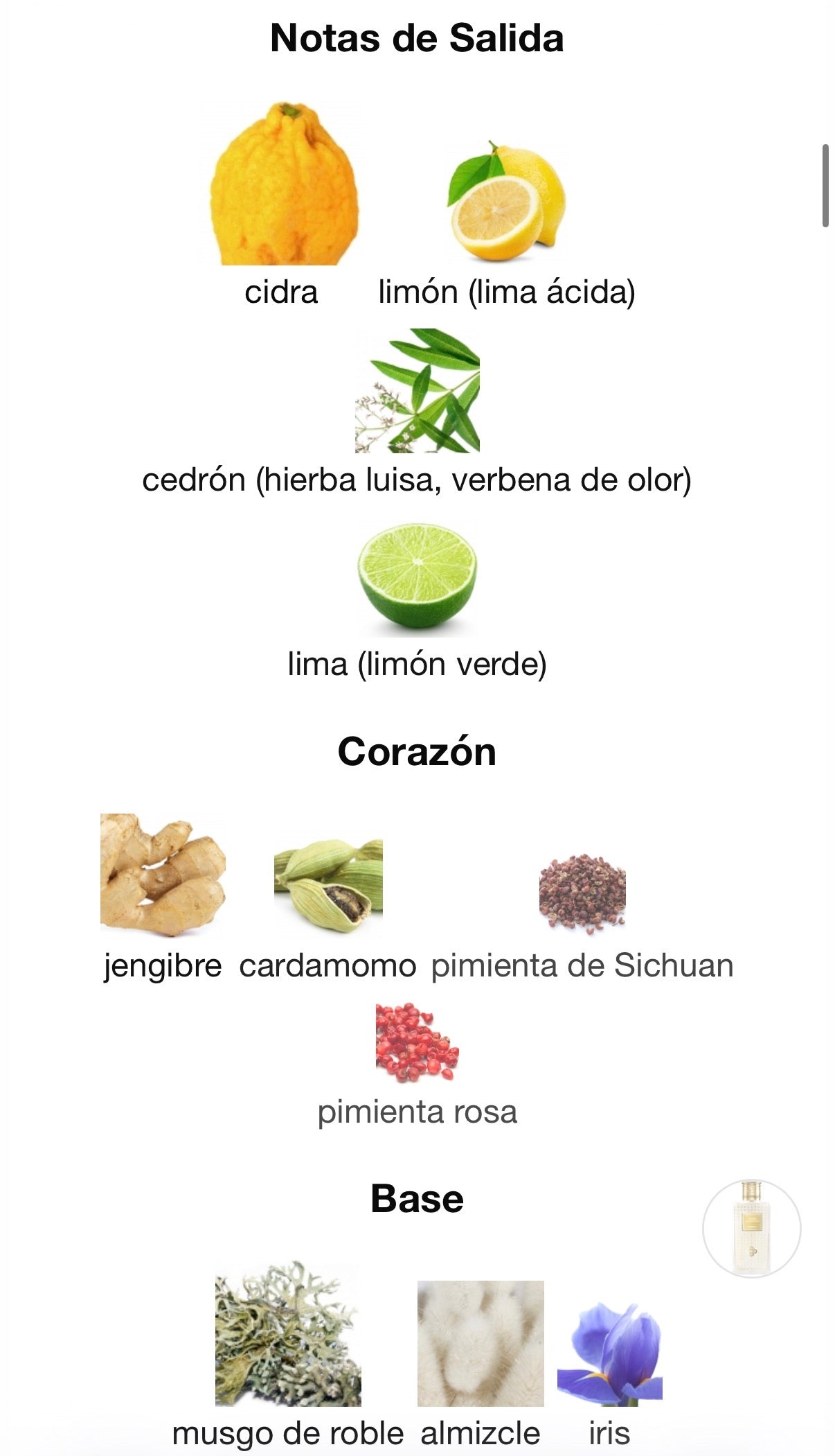 Perris Montecarlo - Cedro Di Diamante