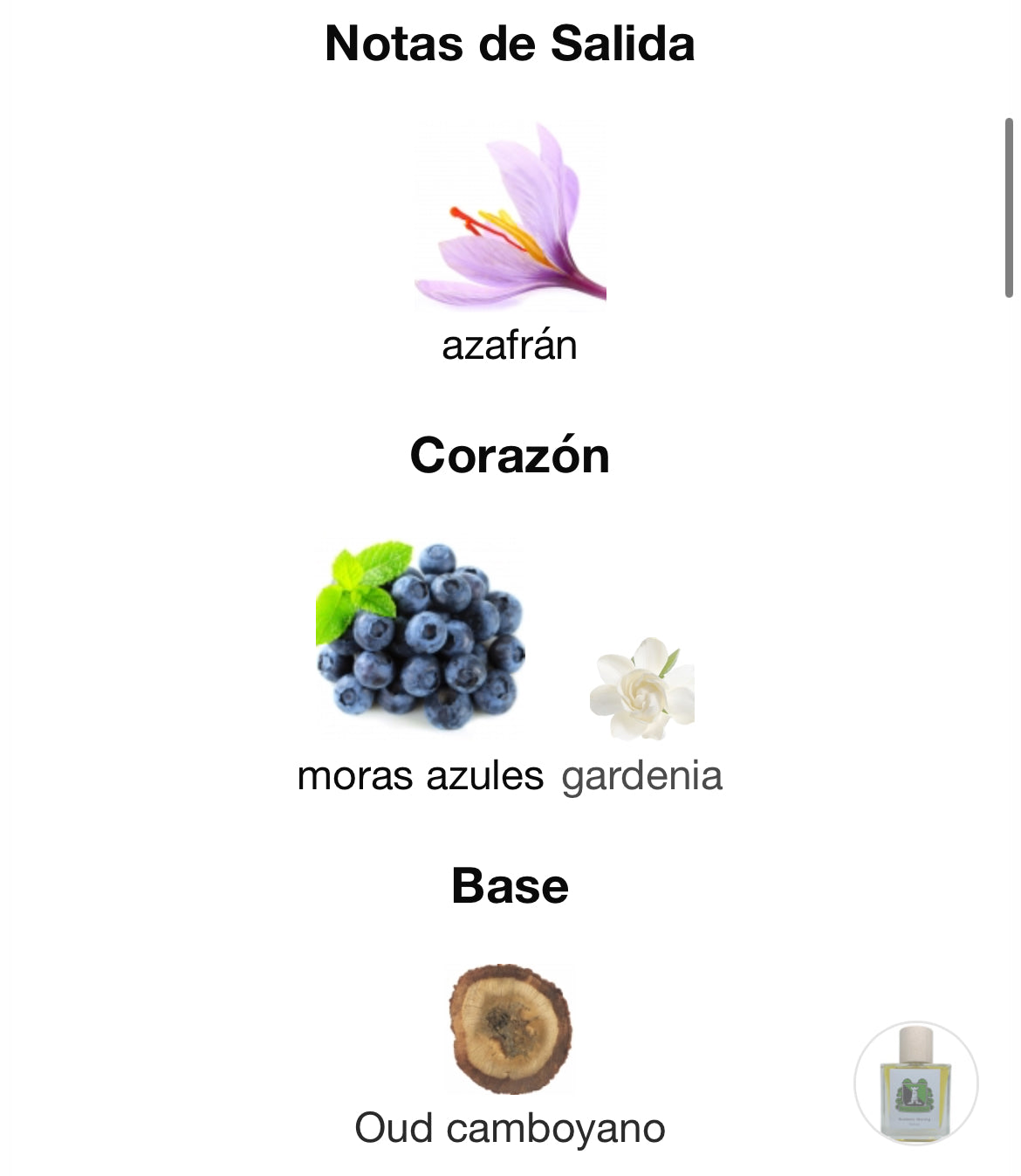 Aromas de Salazar - Blueberry Morning