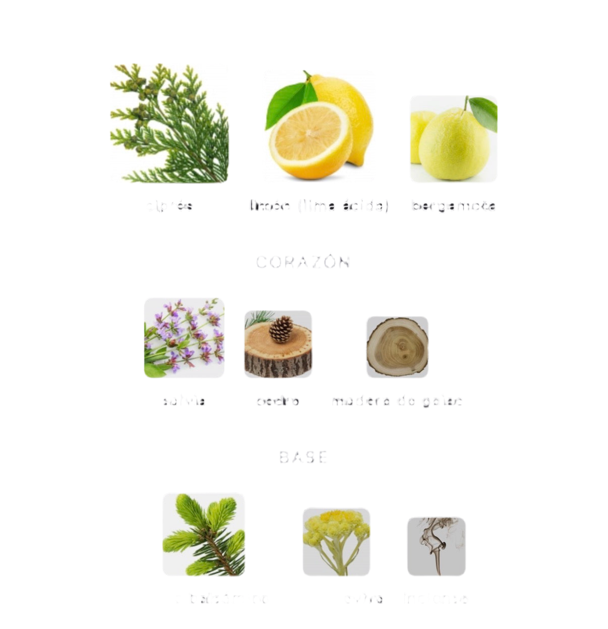 Atelier Des Ors - Rivera Lazuli