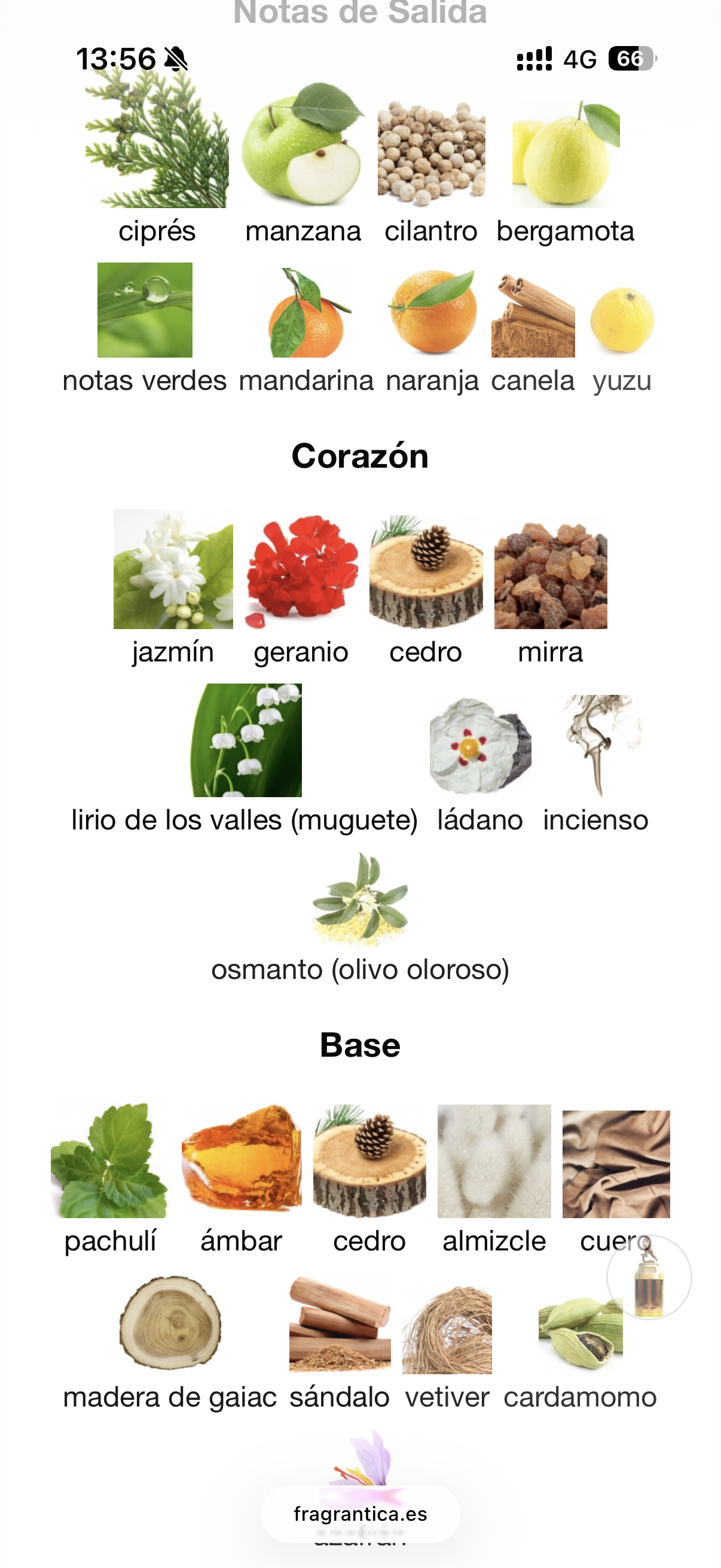 The Spirit Of Dubai - Baz Cuir