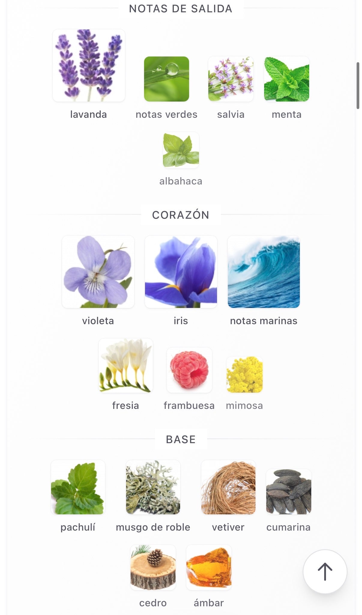 Primera Perfumes - Marine