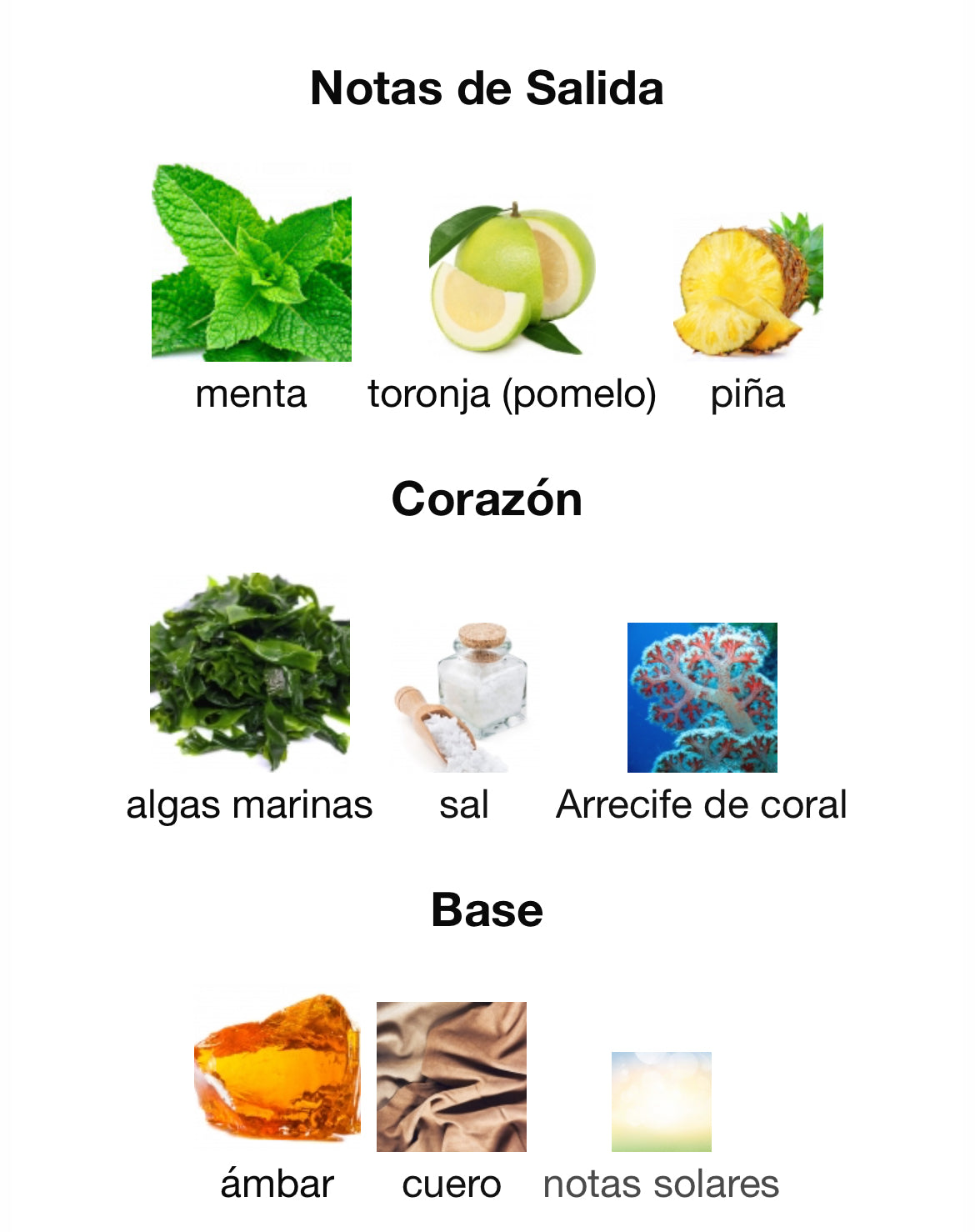 Moset - Libra