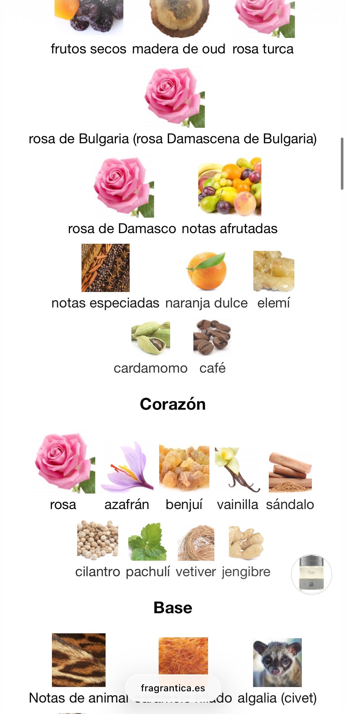 The Spirit Of Dubai - Fakhama