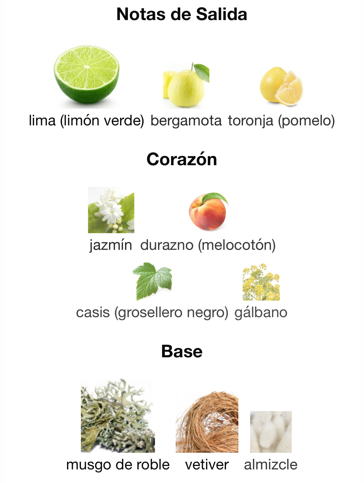 Ramon Monegal - Ten Fresh Notes