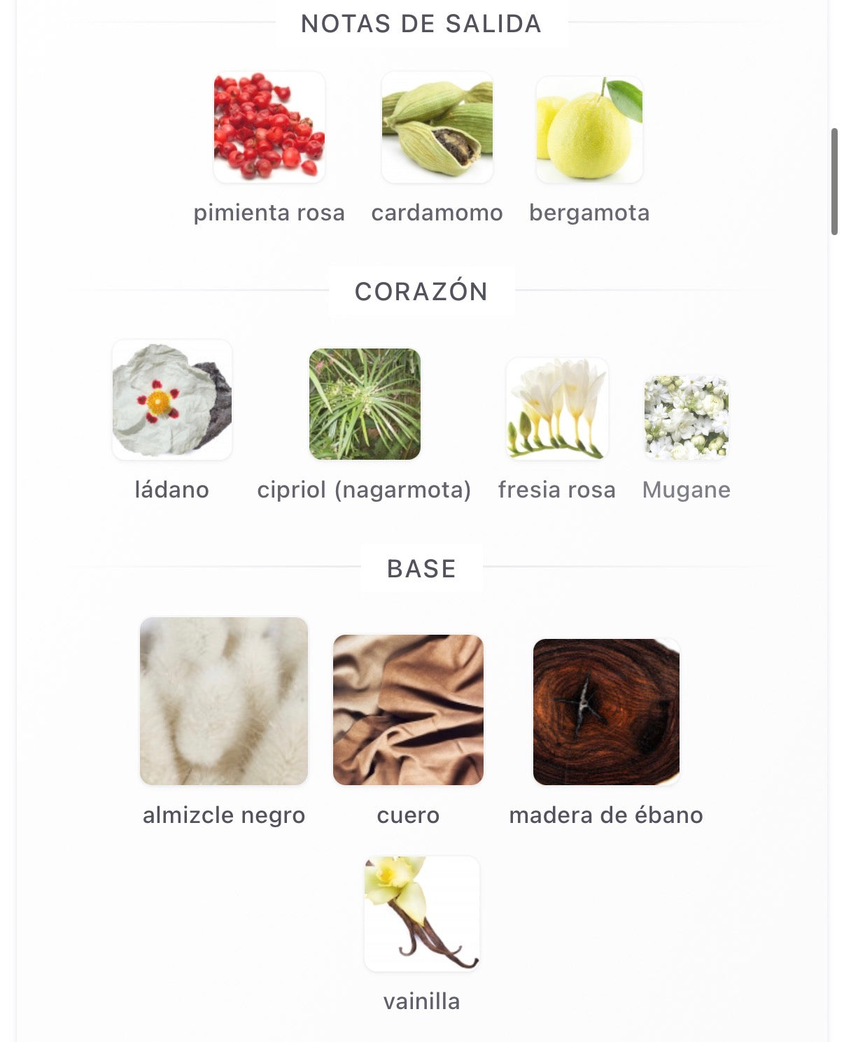 Zaharoff - Sigbature Seraphin Musk