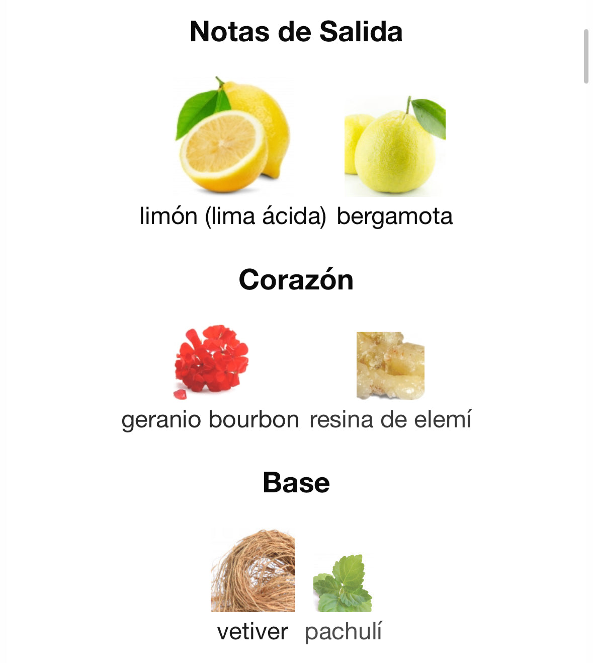 Hugo Boss - Bottled Bold Citrus