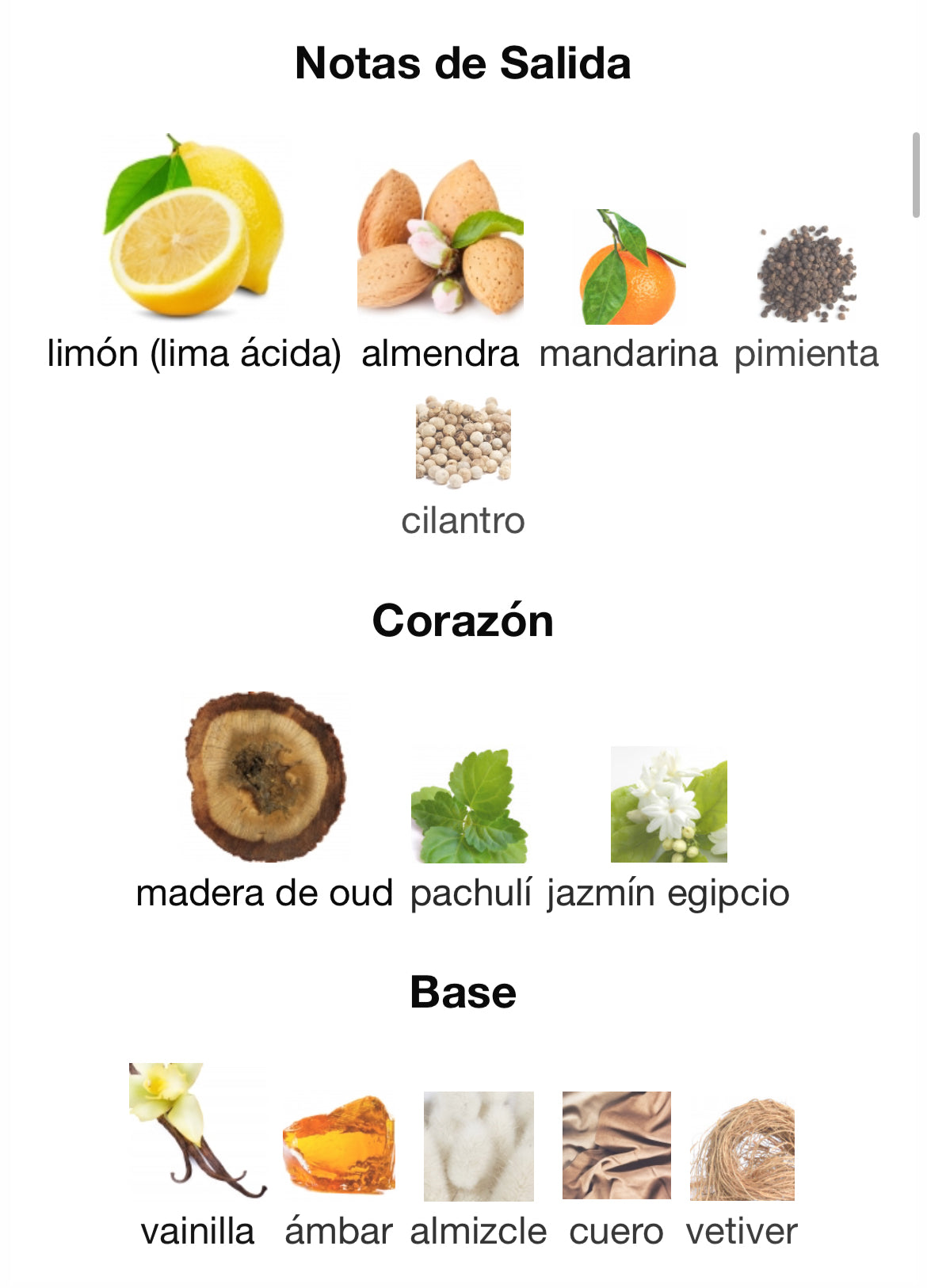 Mancera - Aoud Lemon Mint