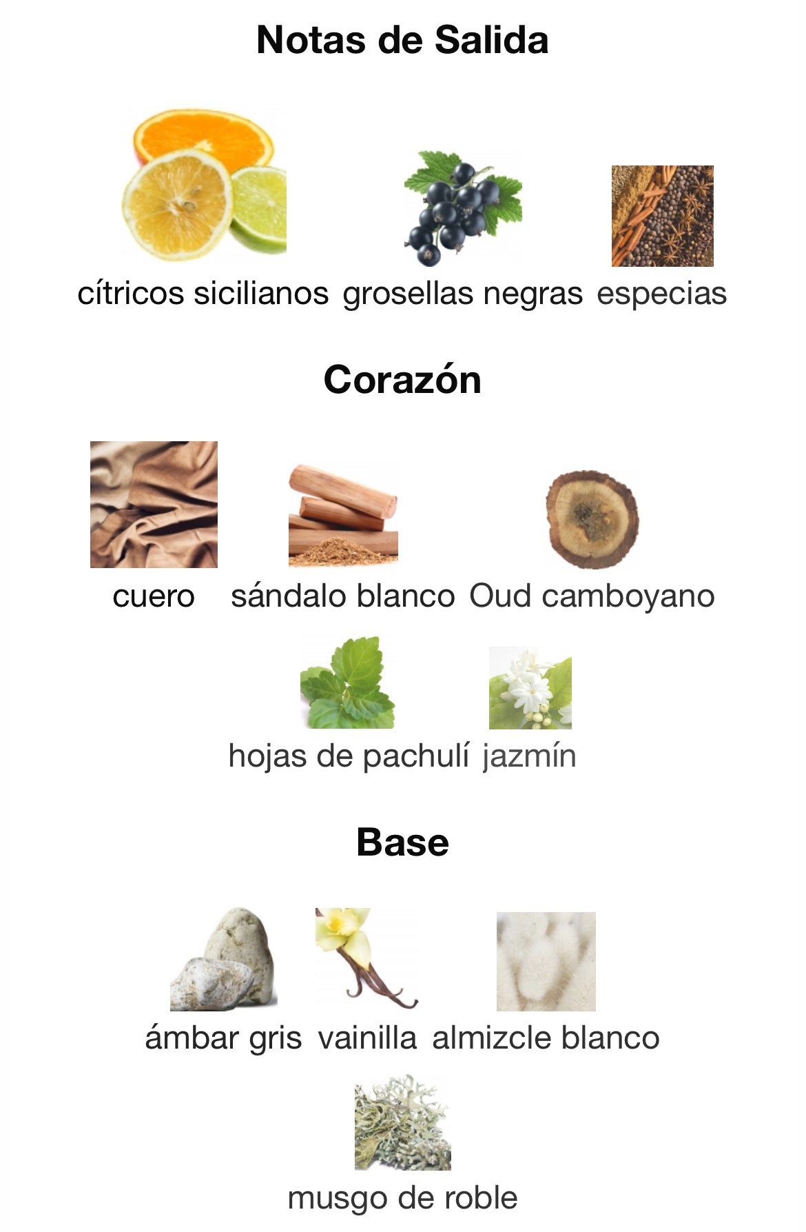 Mancera - Cedrat Boise Intense