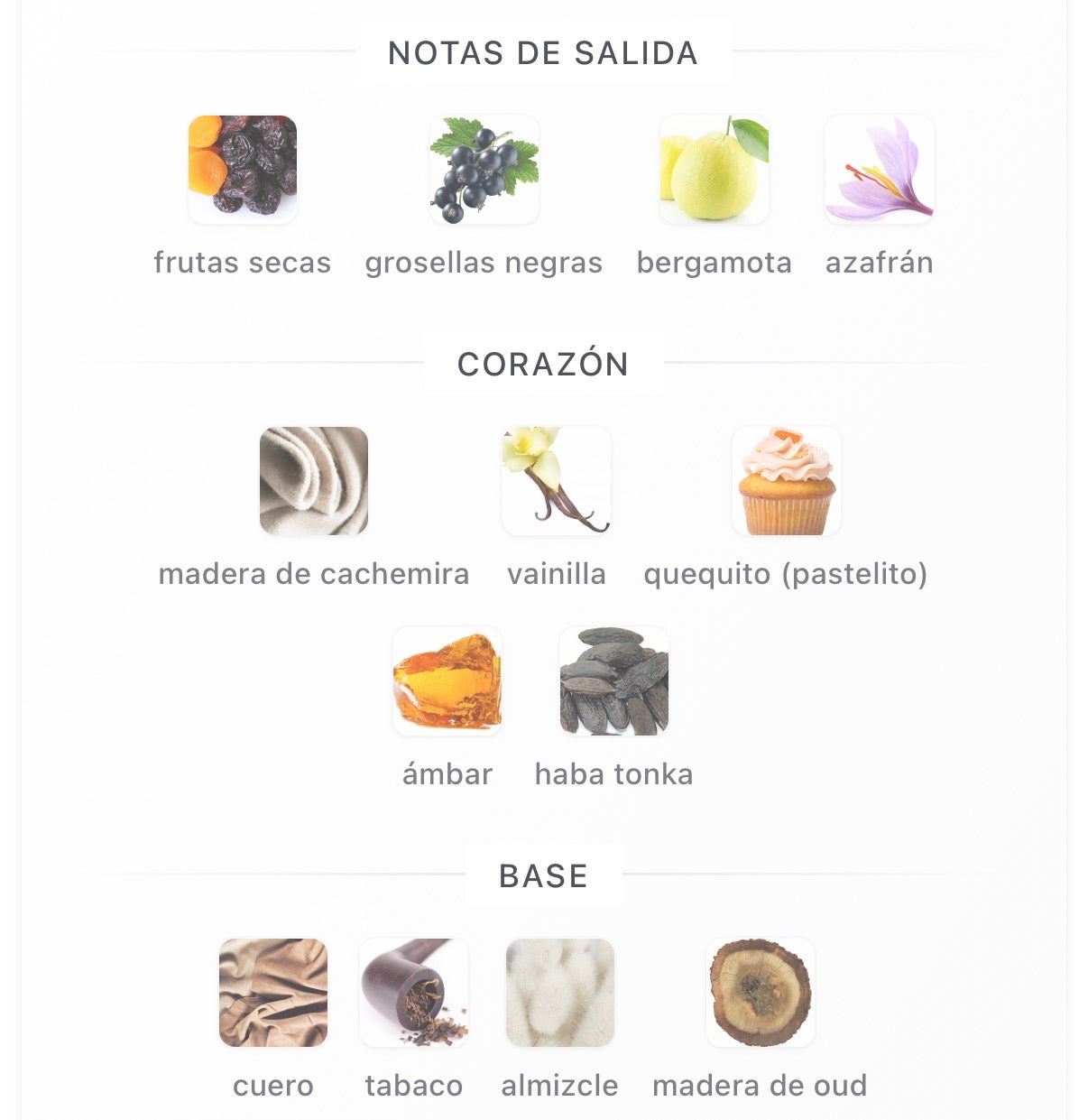 Primera Perfumes - Leather Vanilla